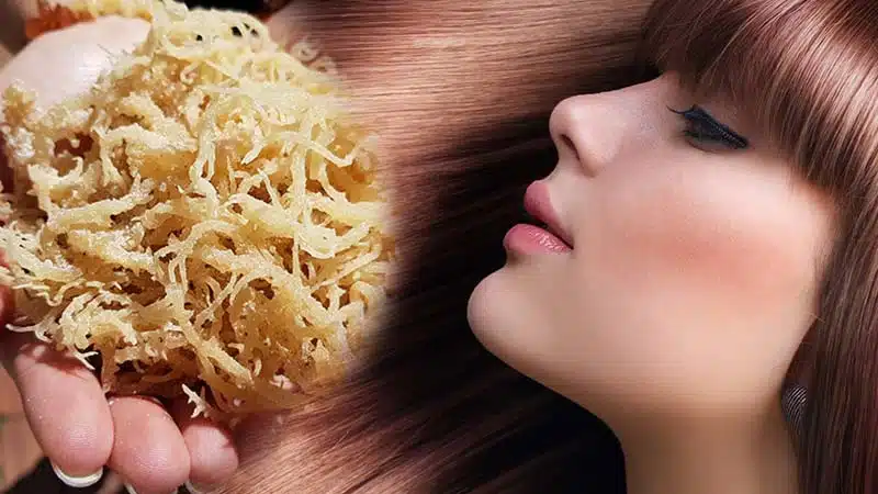 Are there any potential side effects or precautions when consuming sea moss?